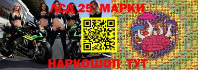 гидропоника Обнинск