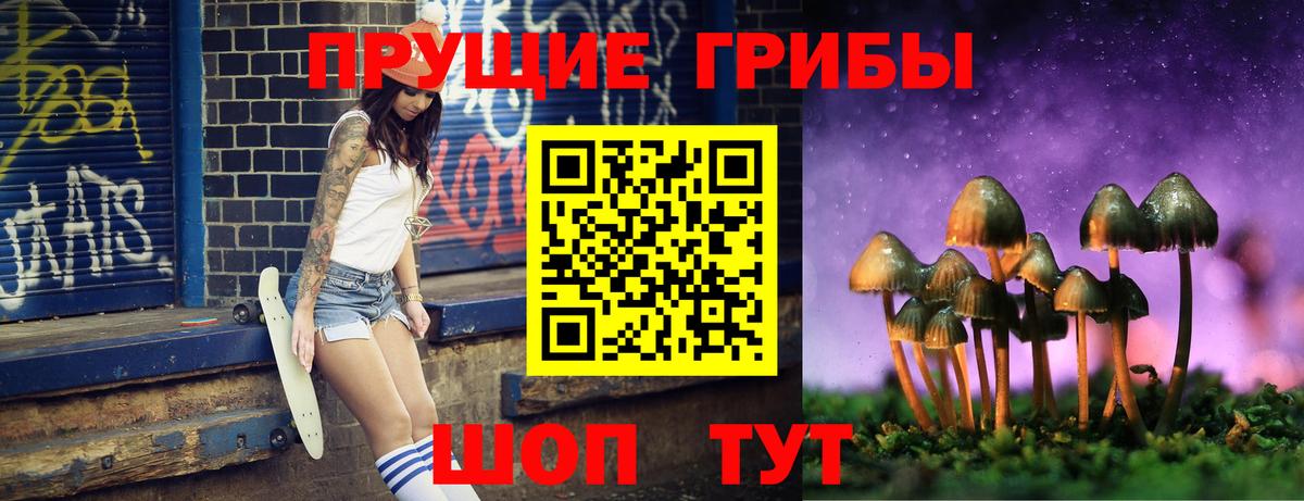Псилоцибиновые грибы Cubensis Троицк