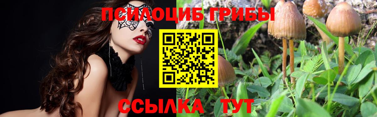 Троицк  Галлюциногенные грибы MAGIC MUSHROOMS  как найти   Вход с VPN 